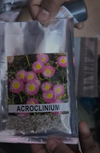 Acroclinium Mix Flower Seeds(40 Seeds Approx.) With Free Plant Growth Booster And Supplement (Pack of 1)